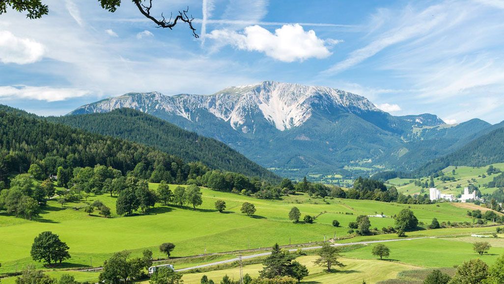 Landscape with green meadows, trees and snowy mountains in the background under a blue sky.