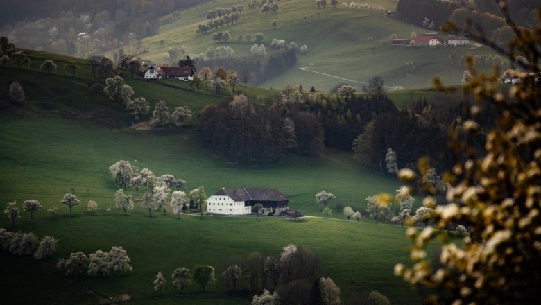 Photo point St. Michael South, &copy; schwarz-koenig.at