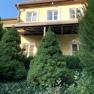Yellow house with balcony, surrounded by green trees and bushes.
