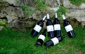 Six wine bottles on grass in front of a stone wall.