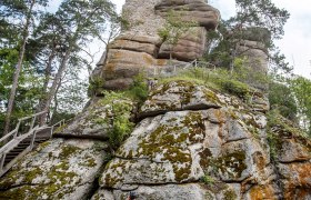 A cyclist leans against a tree stump in front of a high, rocky tower in a wooded area.