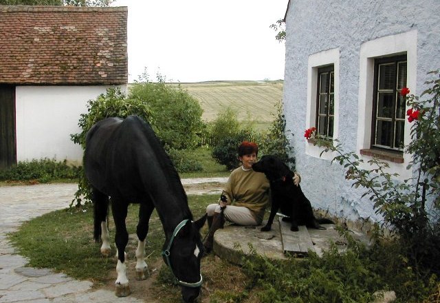 A person sits next to a black dog in front of a blue house while a black horse eats grass.