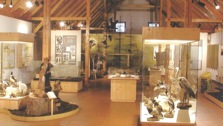 Interior view of a museum with wooden structure and animal exhibits.