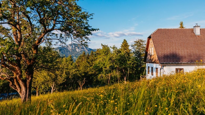 Nestelberg 17, &copy; Sabine Wieser