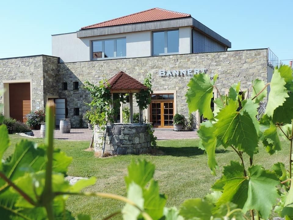 Bannert winery with stone wall and vines in the foreground.