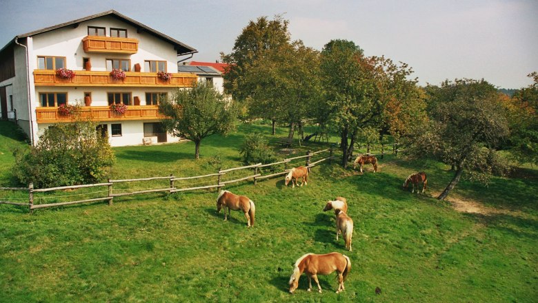 A white house with wooden balconies and blooming flowers, surrounded by a green meadow with grazing horses and trees.