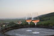 For wine lovers: A stop in the wine region of Wienerwald, © Wienerwald Tourismus GmbH/Raimo Rudi Rumple