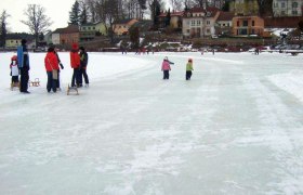 People skating on a frozen lake in Allentsteig, surrounded by houses and trees.