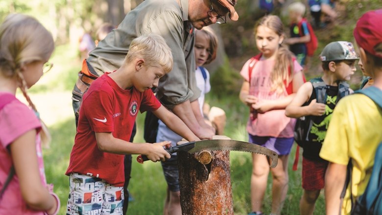 Sawing tree grates, © Wunderwelt Wald, Fotograf Benjamin Wald