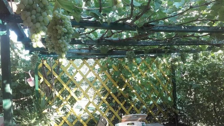 Pergola in the garden of Paul Seel, &copy; Paul Seel