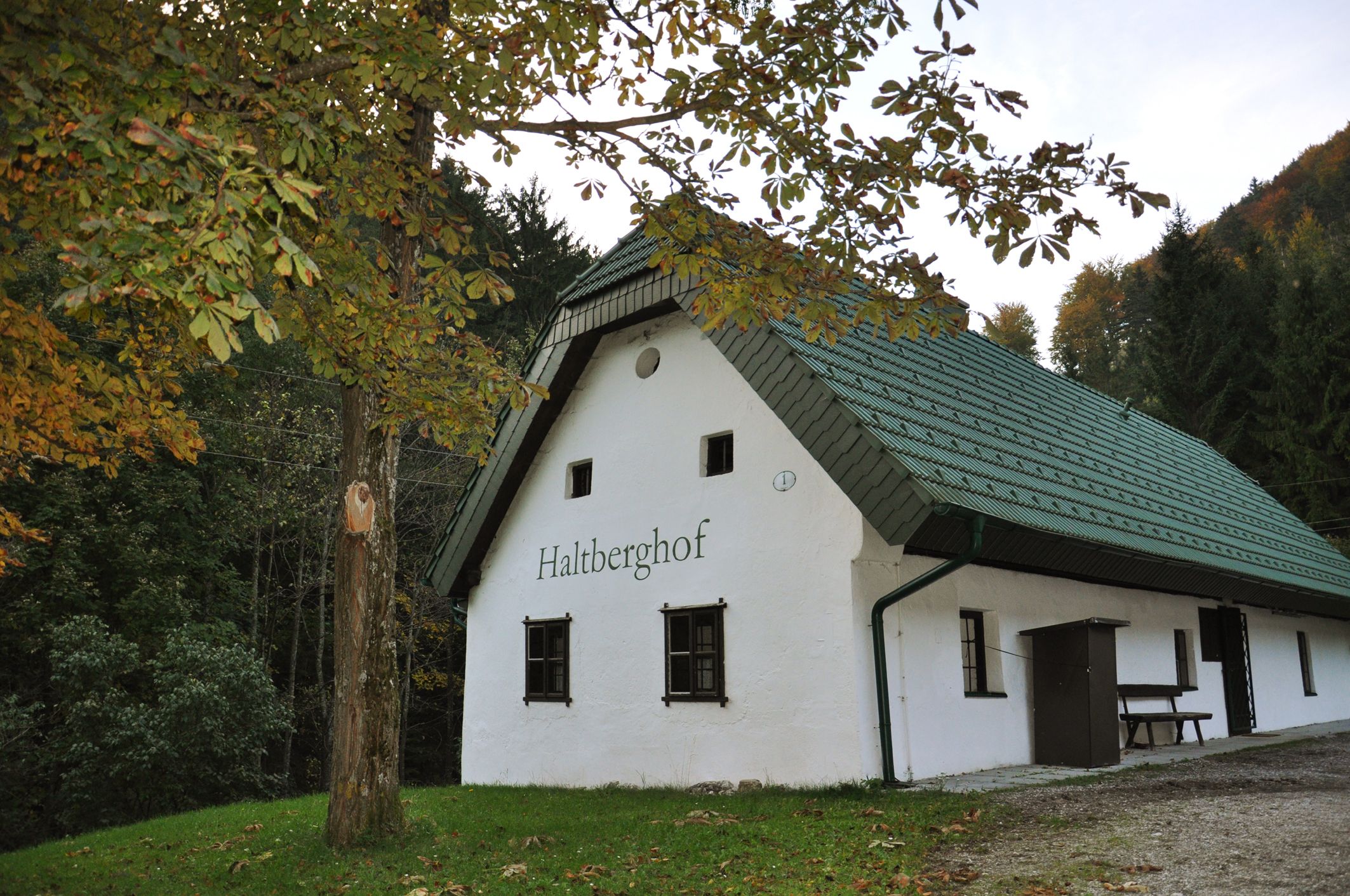 White vacation home with green roof in the forest, labeled 'Haltberghof'.