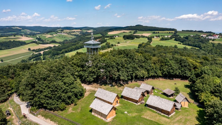 Aerial view of a Celtic village with wooden houses and a lookout tower, surrounded by woods and fields.