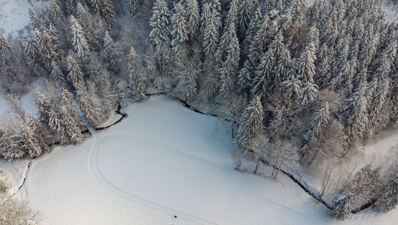Aerial view of a snow-covered forest landscape with a cross-country ski trail, next to it a stream meanders through the landscape