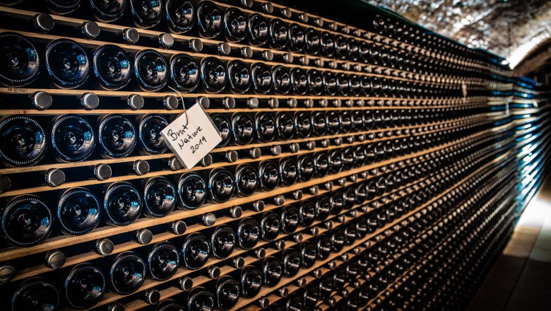 Wine cellar at the MALAT Winery and Hotel, © Pamela Schmatz