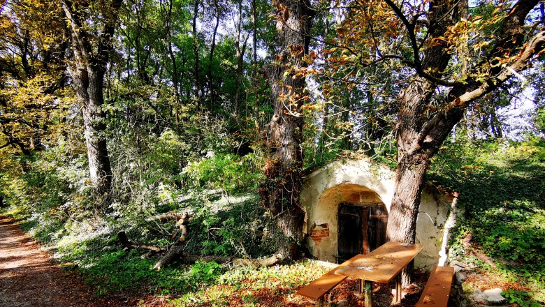 Wine cellar lane in Schrattenthal with table and benches in the forest.