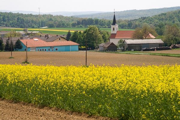 Pastures near Rechnitz