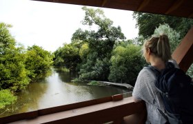 Dobersberg Nature Park, &copy; Waldviertel Tourismus, weinfranz