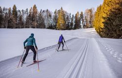 Die glitzernde Schneedecke erstreckt sich über die sanften Hügel, während zwei Langläufer in harmonischem Rhythmus die frisch präparierten Loipen entlang gleiten. Umgeben von majestätischen Nadelbäumen und der klaren Winterluft, erleben sie die Ruhe und Schönheit der winterlichen Landschaft.