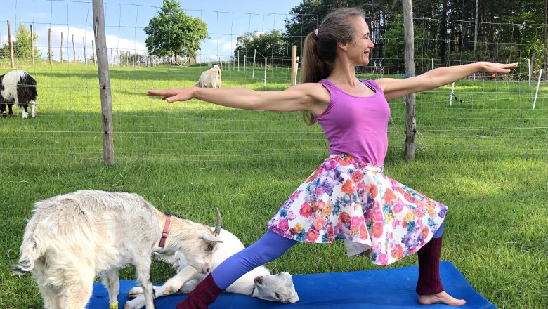 Woman doing yoga pose on mat outdoors with goats around her.