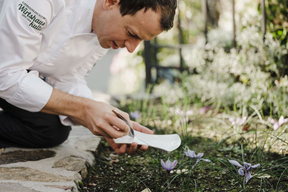 Chef Roman Siebenhandl kneels in the garden and harvests saffron with tweezers.