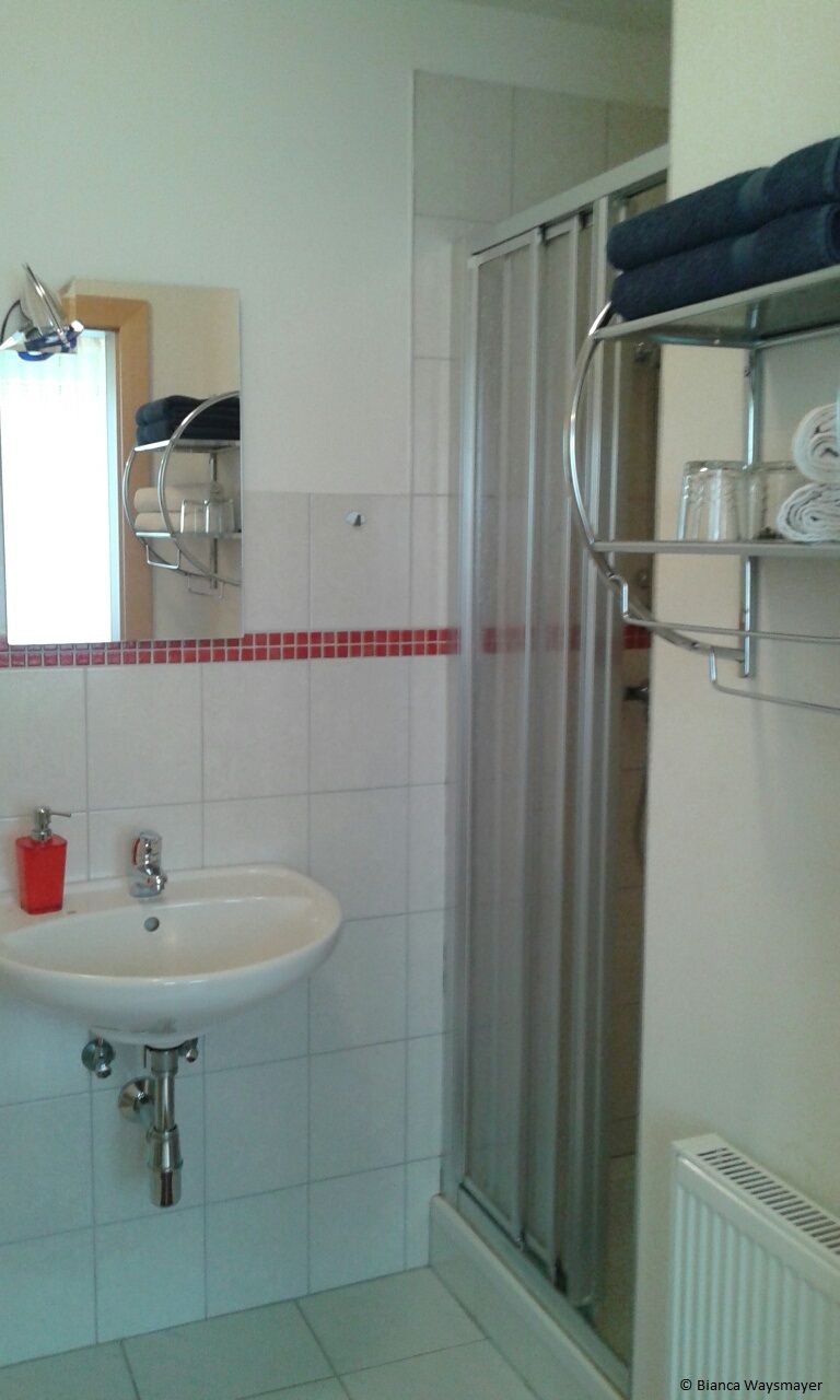 A bathroom with washbasin, mirror, shower and towel rack.