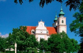 Maria Dreieichen Basilica with red roofs and green towers, surrounded by trees.