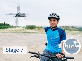 Retzer Windm&uuml;hle, &copy; Weinviertel Tourismus / Gollner