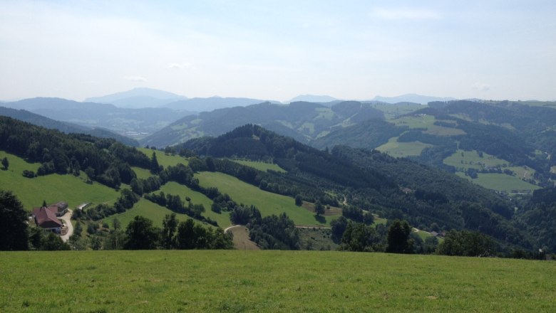 Panorama of a hilly landscape with meadows and forests under a blue sky.
