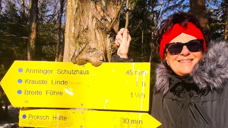 Vienna Woods, &copy; Gottfried Steiner