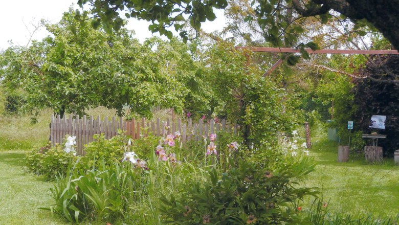 A green garden with flowers, trees and a wooden fence.