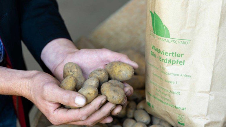 Hammerschmidt organic farm, © Netzwerk Kulinarik/Martina Siebenhandl