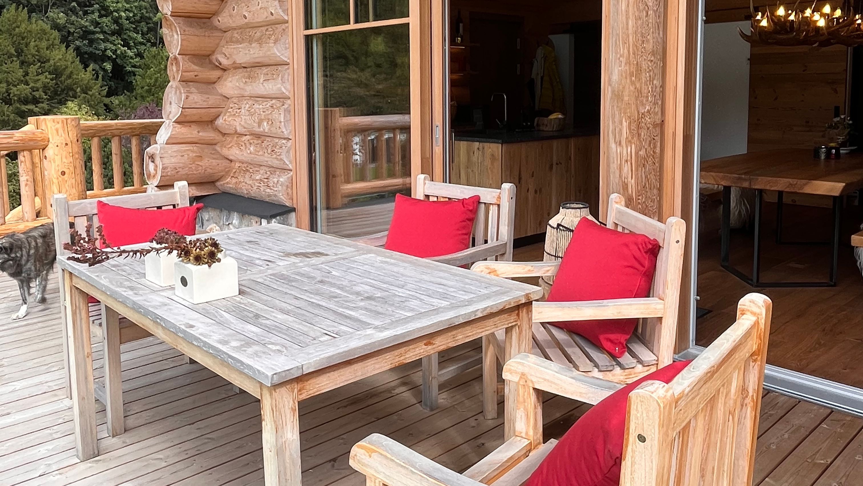 Wooden terrace with table and chairs, red cushions and a dog in the background.