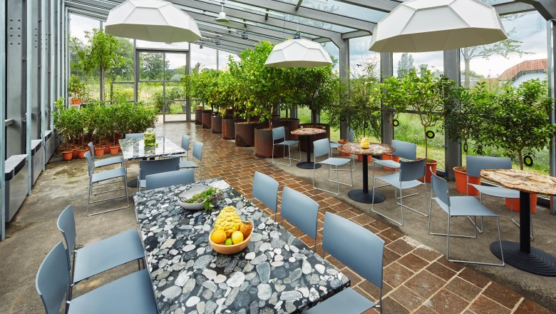 Interior view of an orangery with tables, chairs and plants.