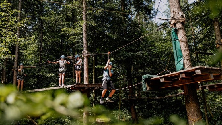 People in a climbing park on platforms in a forest.
