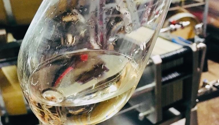 Winery Hannes Hofer, &copy; Hannes Hofer