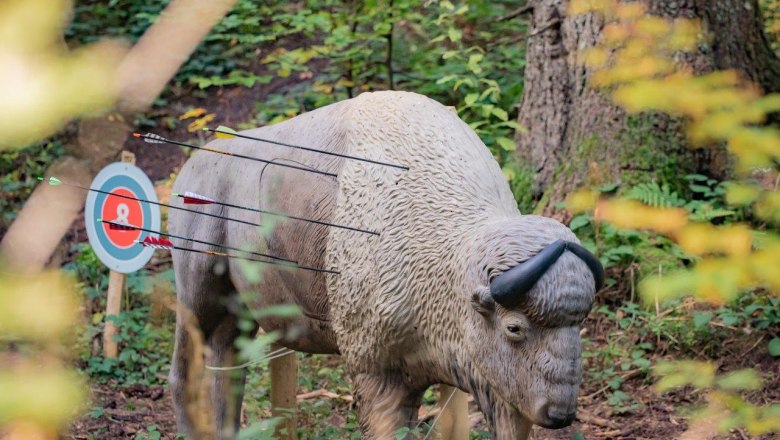 Targets of various sizes await the archers, © Ludwig Fahrnberger