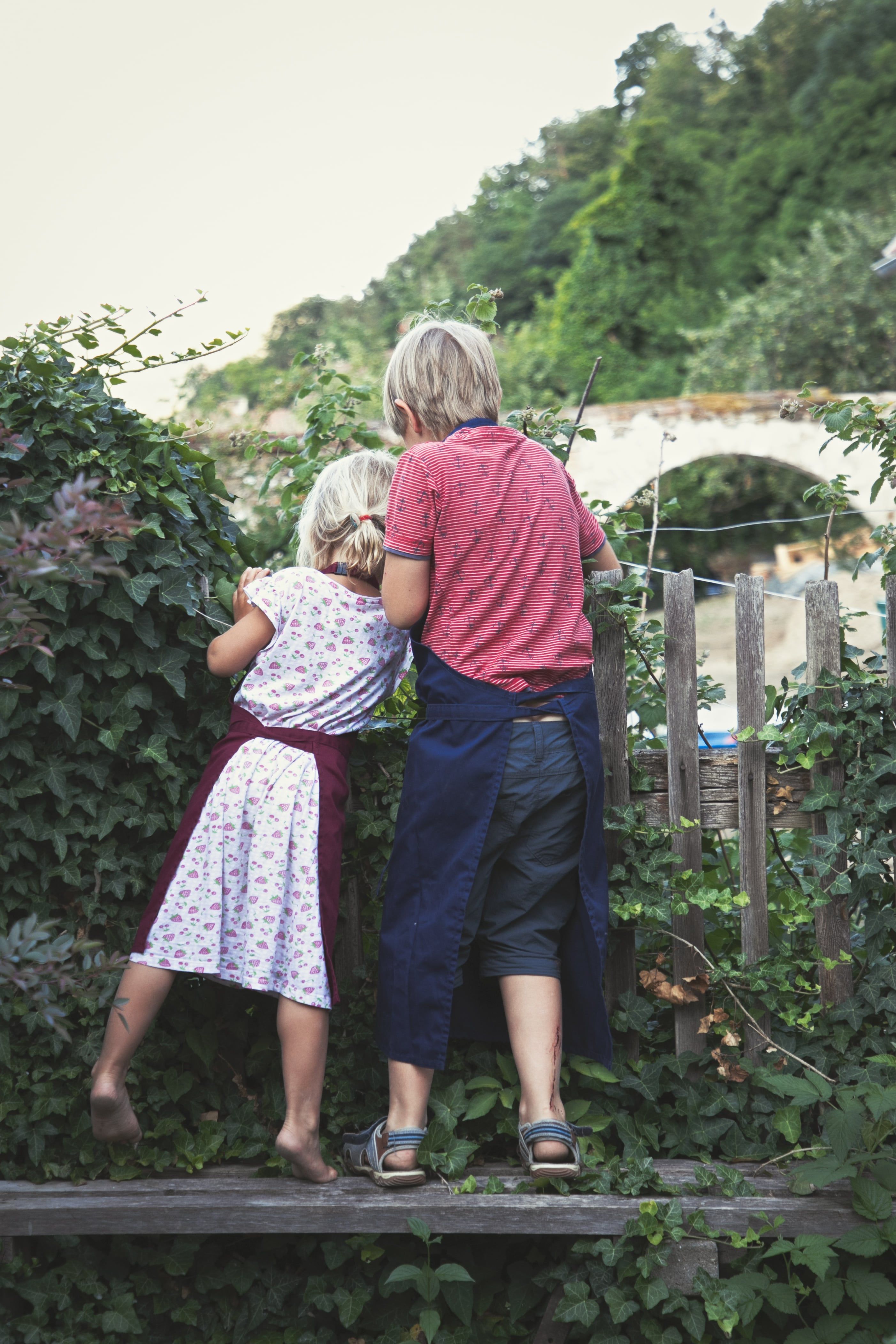 Two children are standing on a bench and looking over a fence into a garden.