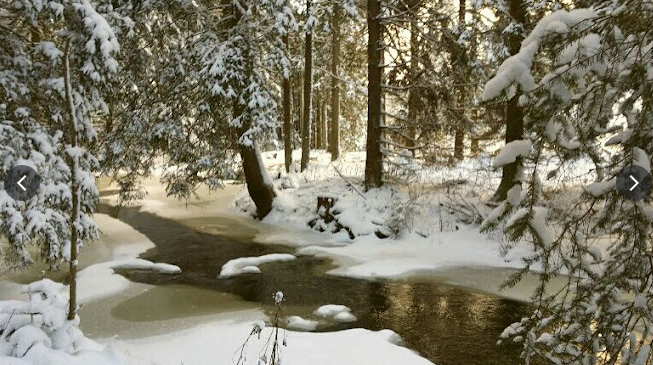 Fishing at the Wachtelhof, &copy; Astrid Hanke-Aberer