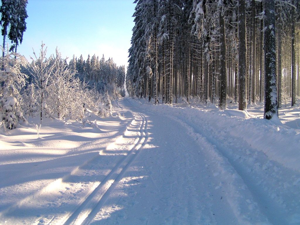Cross-country skiing in Ottenschlag © Gemeinde Ottenschlag