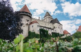 Heidenreichstein Castle with towers and overgrown walls against a blue sky.
