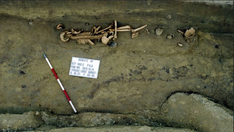 Archaeological excavation with skeleton and scale.