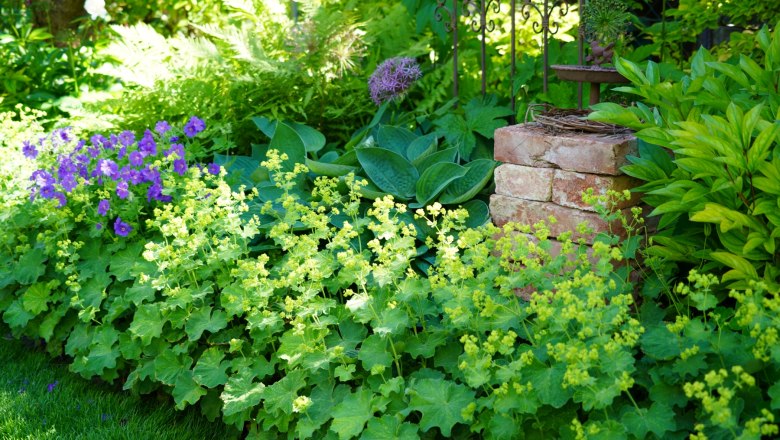 "Natur im Garten", © "Natur im Garten"/Leopold Mayrhofer