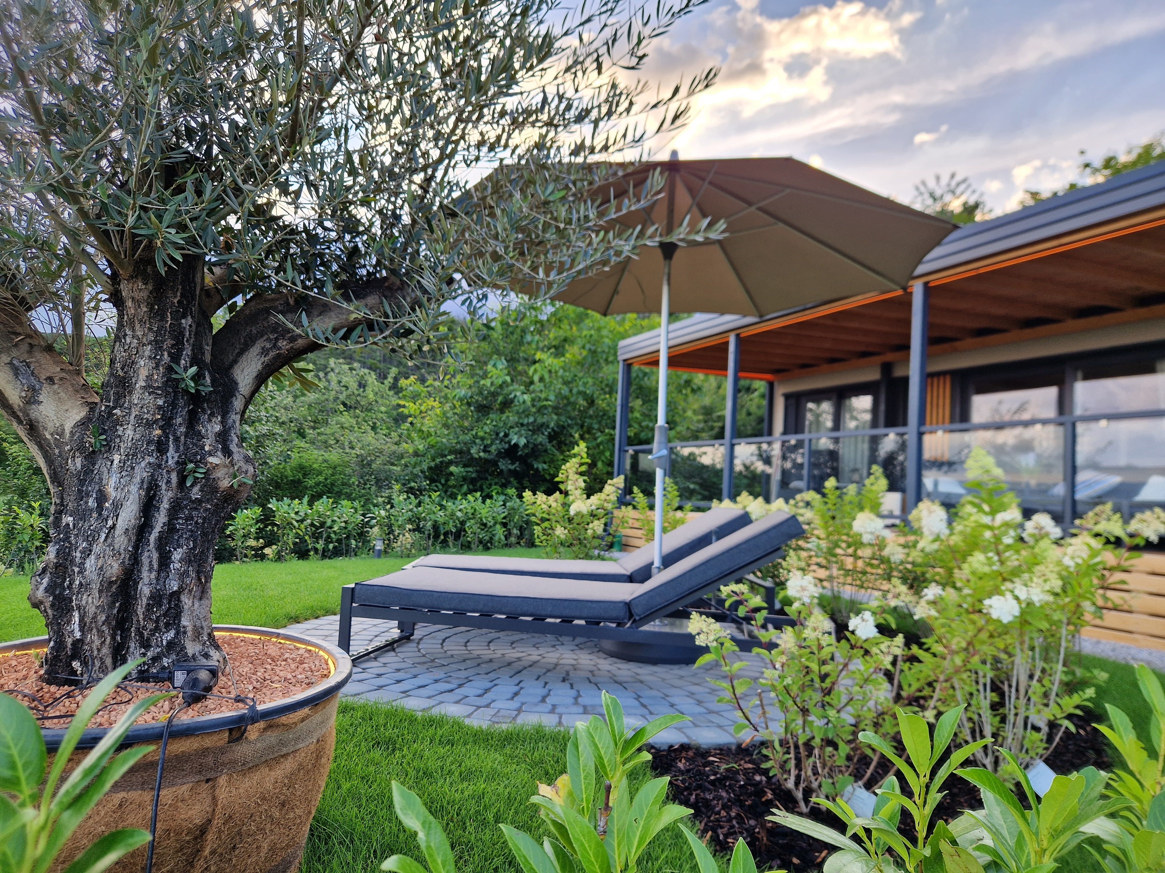 Garden with sun lounger, parasol and olive tree in front of a modern chalet.