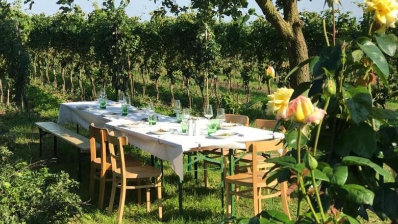 tasting-c-peter-paraeiser, &copy; Barbara Paradeiser