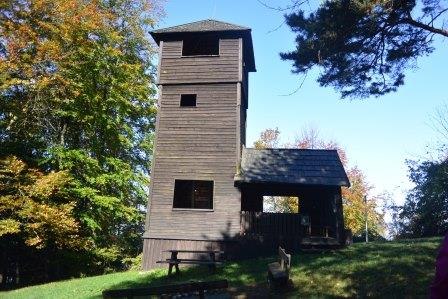 Wooden tower in the forest with blue sky.