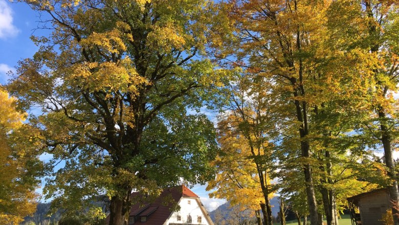 Vacation cottage Hinterbreiteneben, &copy; Johannes Hoyos