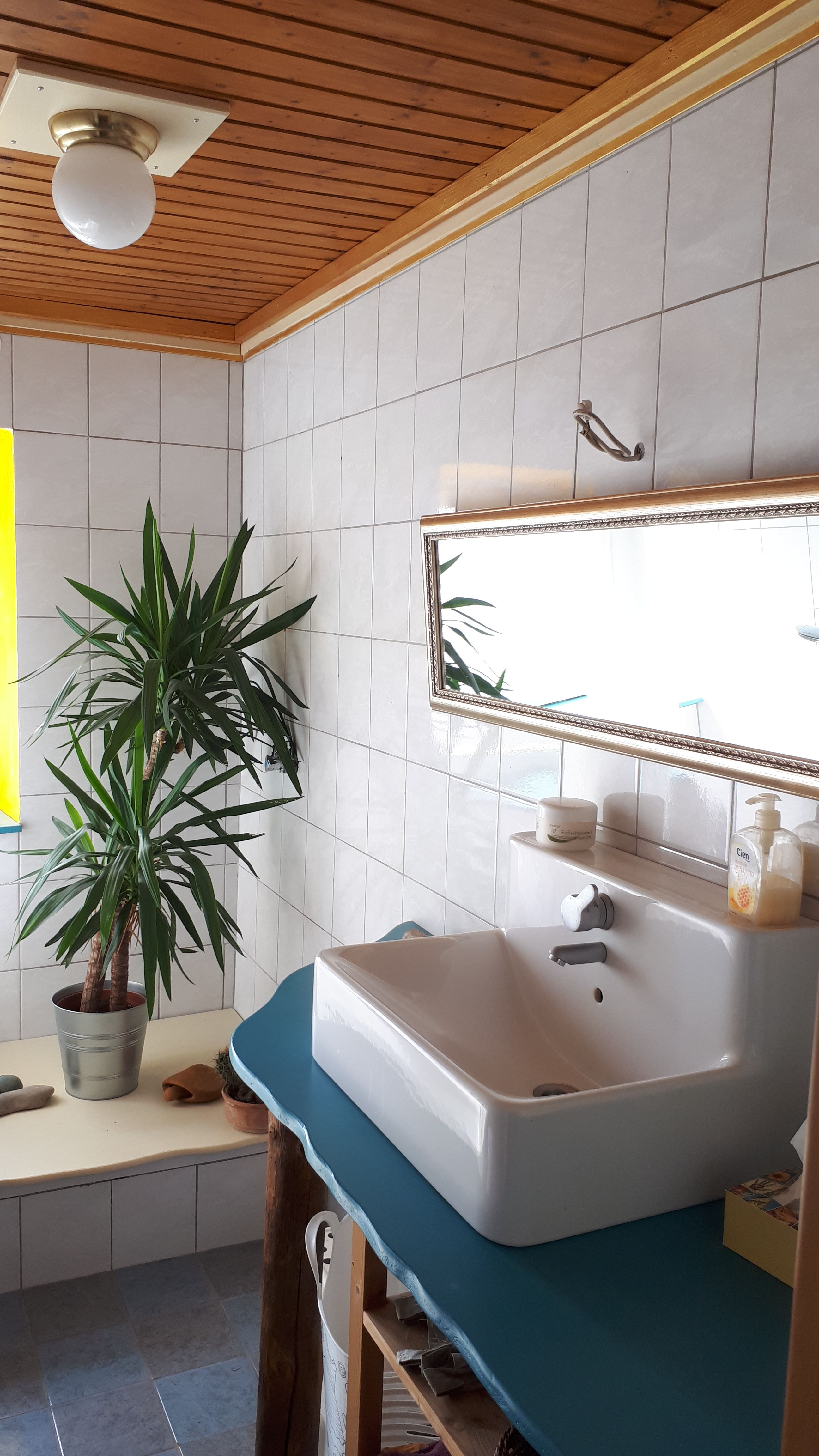 Bathroom with washbasin, mirror and plant.