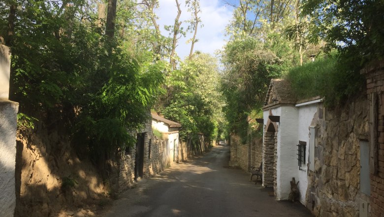 A narrow, tree-lined street with old, stone buildings on both sides.