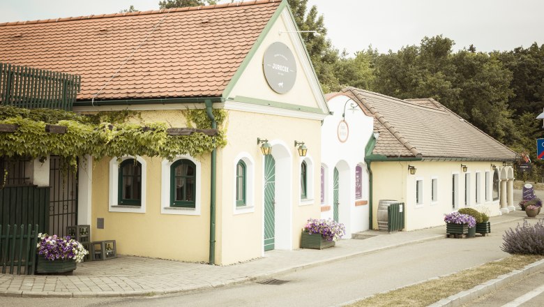 Exterior view of a traditional wine tavern with a yellow fa&ccedil;ade and red roof tiles, surrounded by plants.