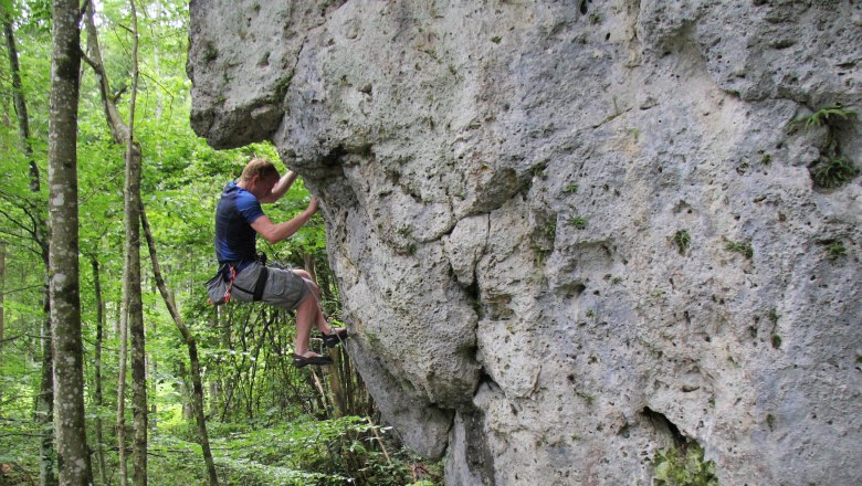 Climbing rocks in Opponitz, © Ybbstal Climbing